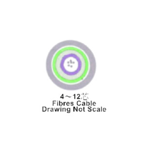 4芯多模多束管型光纜 非金屬 62.5/125μm