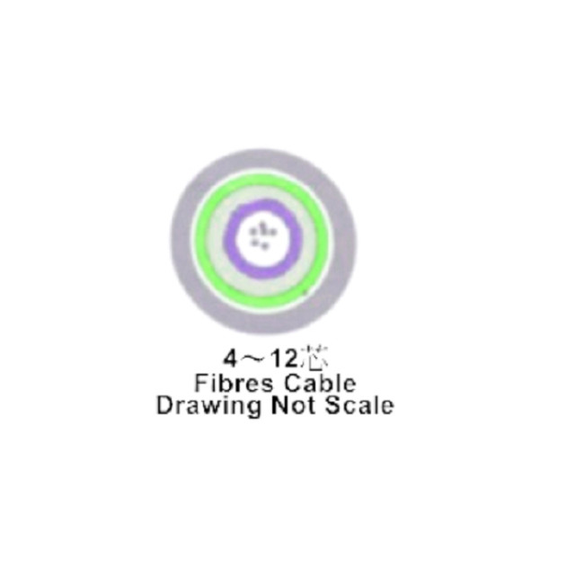 8芯多模多束管型光纜 非金屬 62.5/125μm