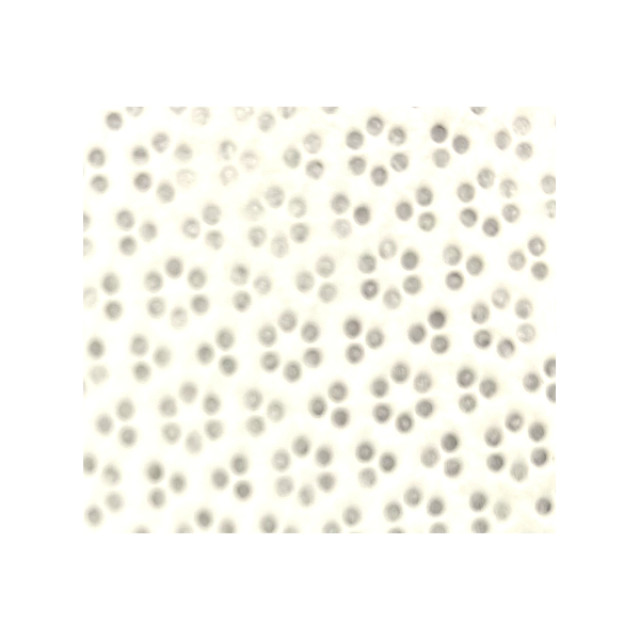 光纖專用擦拭紙(約500張) / 包