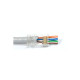 WG 威任 Cat.6 RJ-45 穿透式 8P8C 鍍金50μ 袋裝