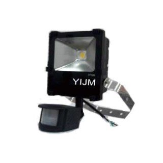 YIJM 義珍 LED感應照明燈 白光 全電壓 20W YJ-5979