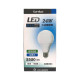 Combo LED燈泡 24W 全周光 白光 CZ2501